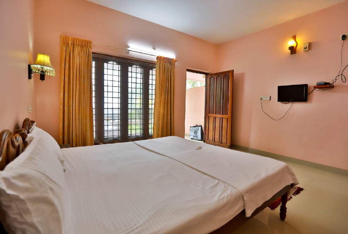 1 x  King Deluxe Double Non AC with  Fan